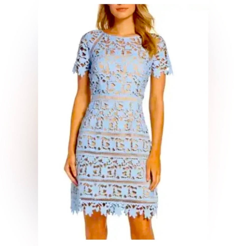 Eliza J  Lace Dress in Light Blue